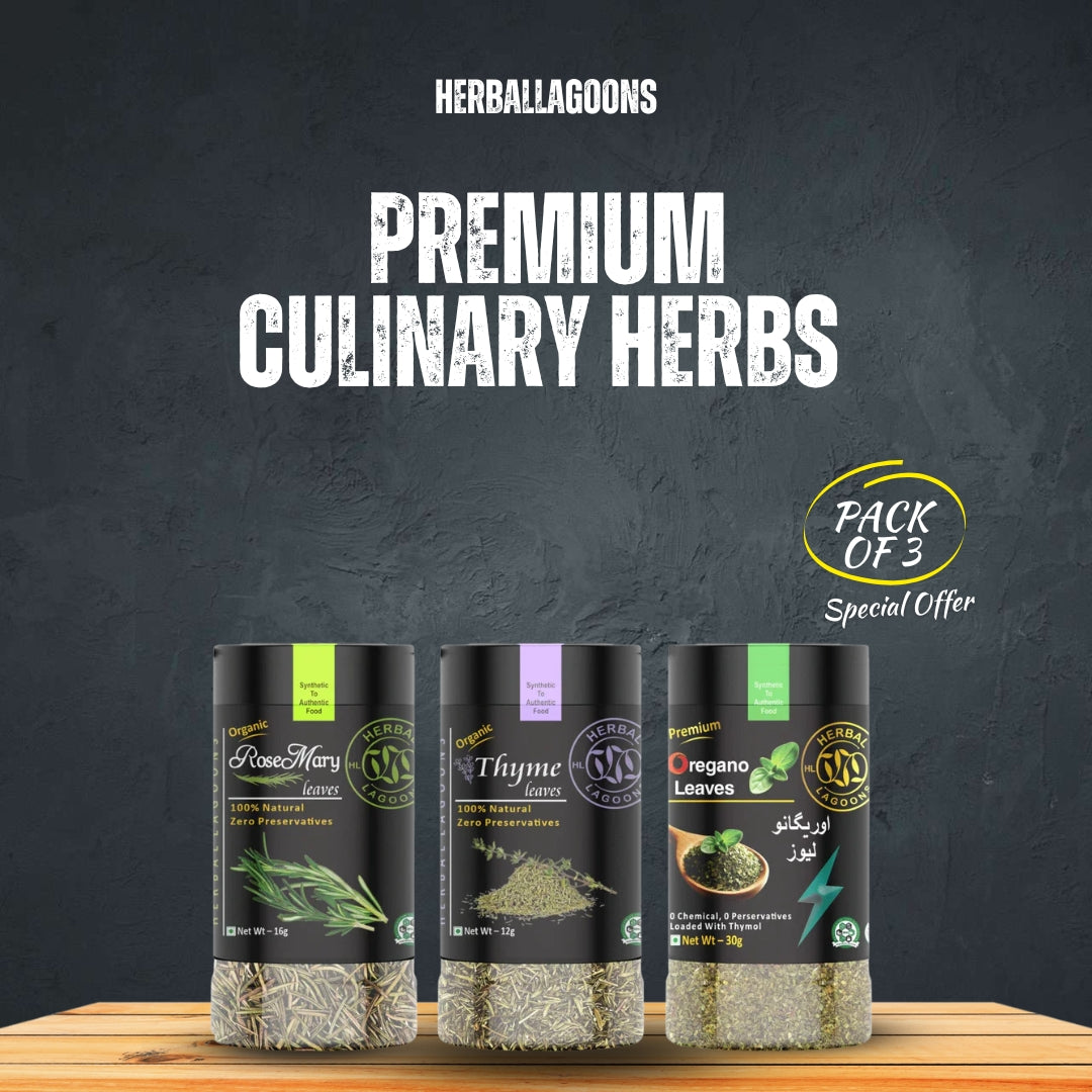 Premium Culinary Herbs (Pack of 3)
